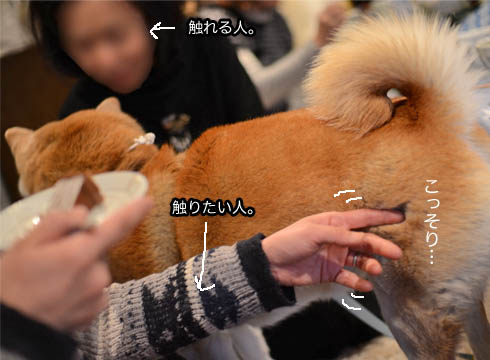 26日ブログ18.jpg
