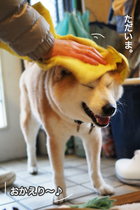 20日夜ブログ５