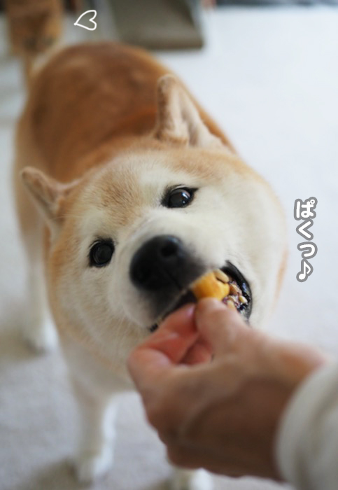 6日ブログ６
