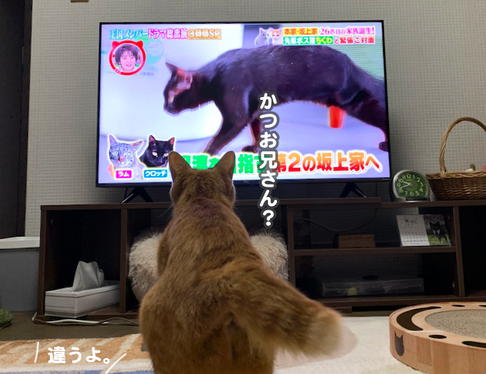 15日夕ブログ５