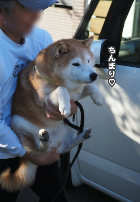 26日ブログ１３