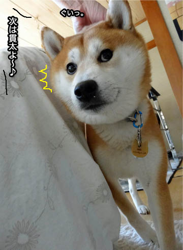 23日ブログ7.jpg