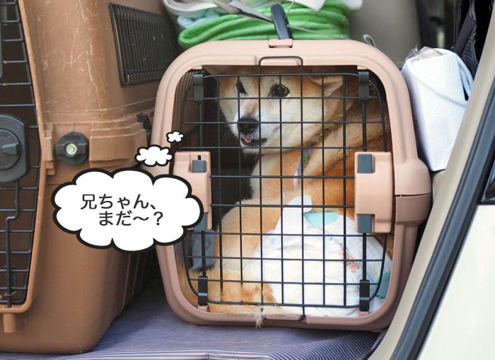 27日ブログ７