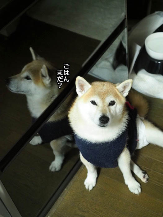 9日ブログ１