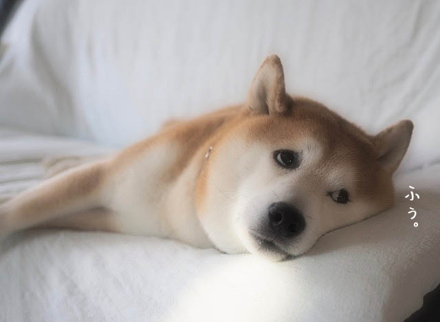 29日ブログ13