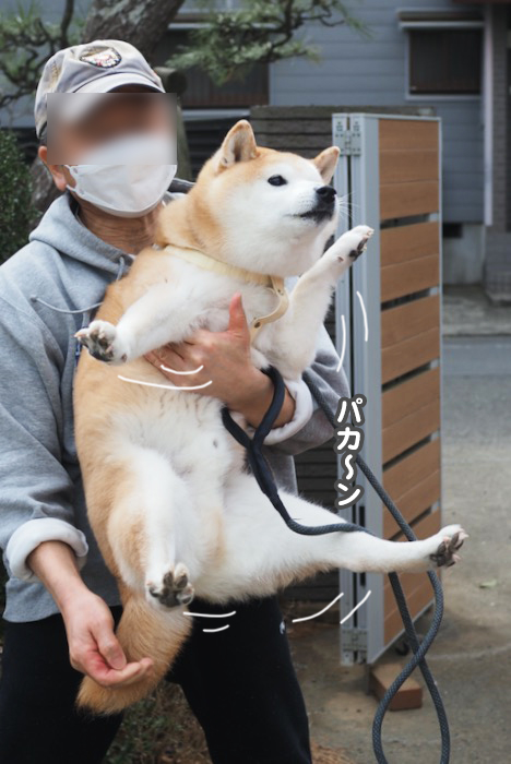 3日夕ブログ１０