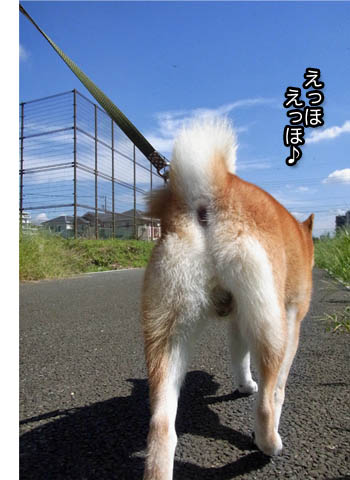 24日ブログ3.jpg