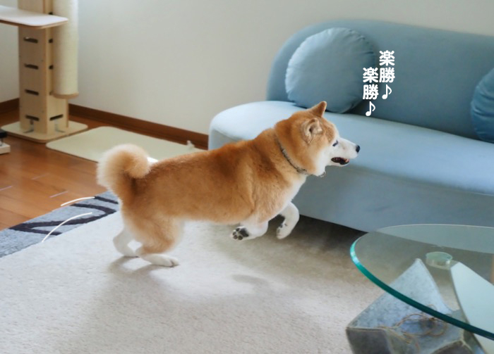 4日ブログ５