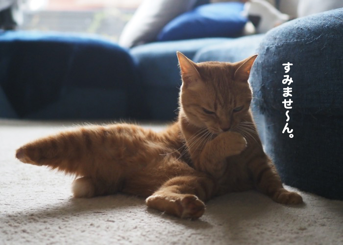 29日夕ブログ9