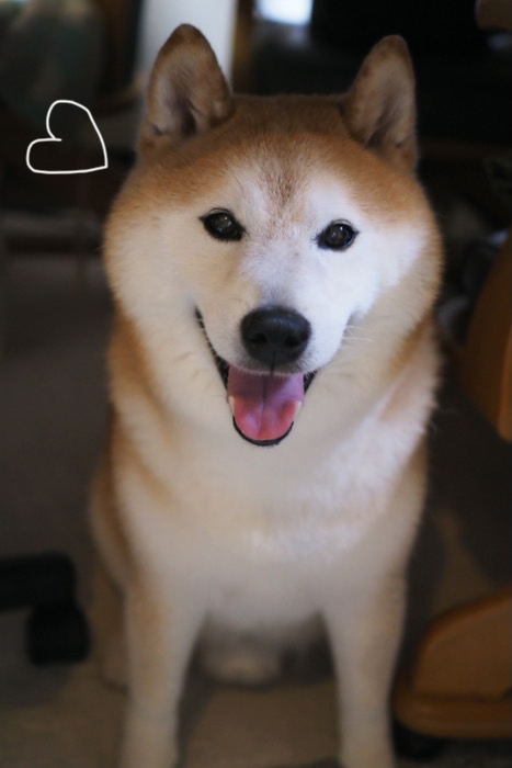 28日夕ブログ３