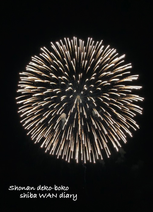 22日夕ブログ８