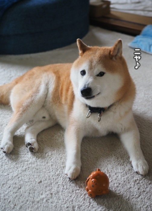 15日夕ブログ１０