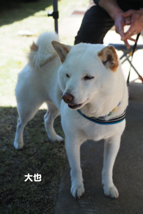 6日夕ブログ５