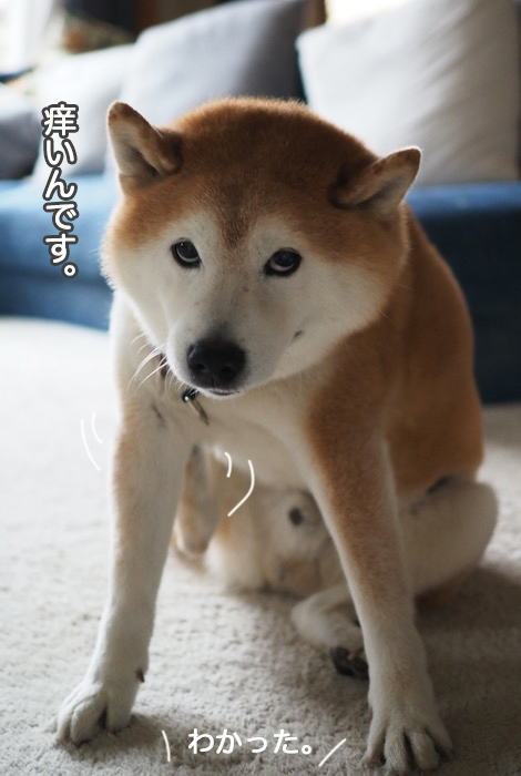 11日夜ブログ２