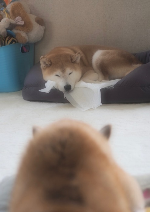 9日昼ブログ１１