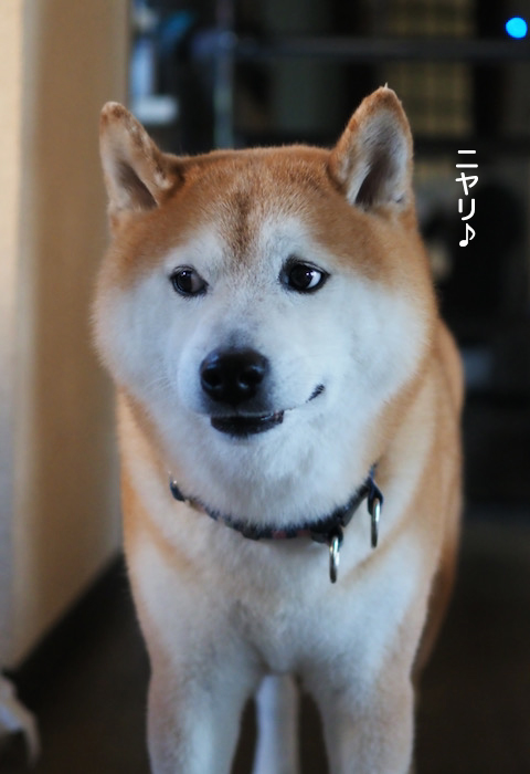 26日夜ブログ4