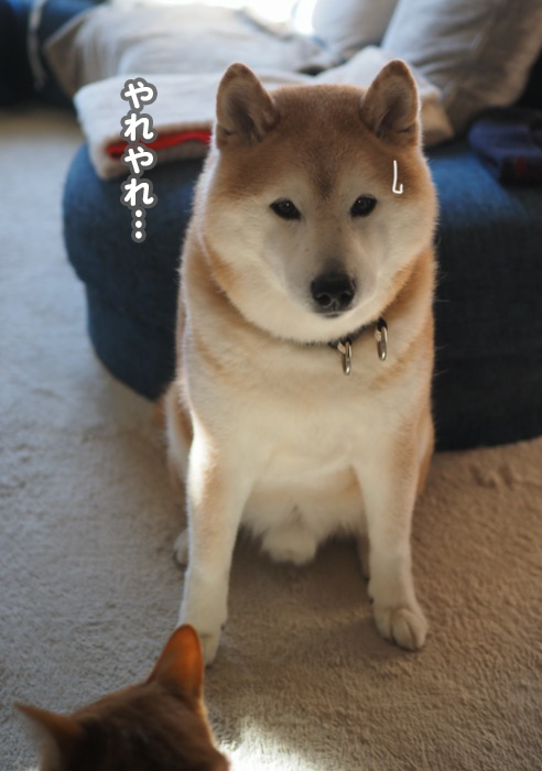 24日夕ブログ１７
