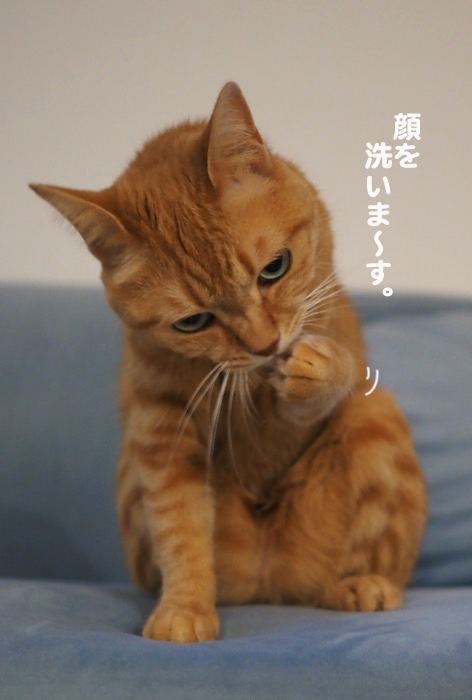 2日夕ブログ５