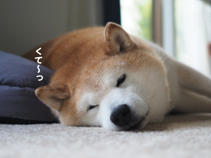 7日夕ブログ８