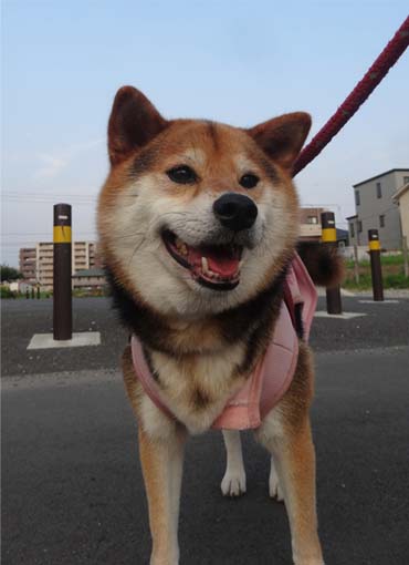 28日ブログ18.jpg