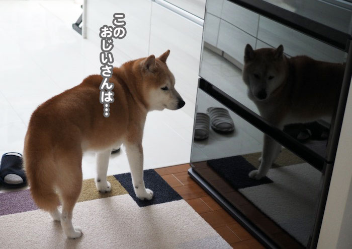 4日午前ブログ３