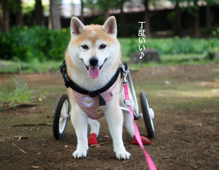9日ブログ2