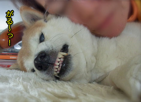 25日ブログ15.jpg