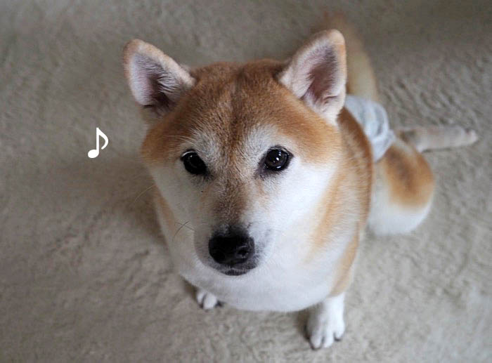 11日夜ブログ３