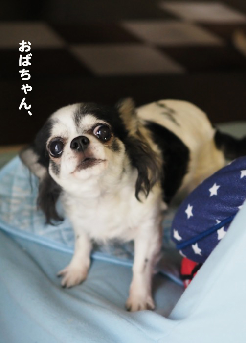 1日夕ブログ４