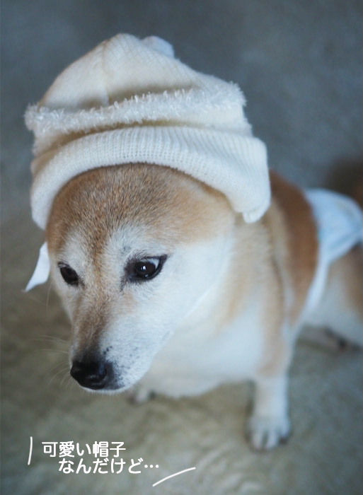 6日夕ブログ５