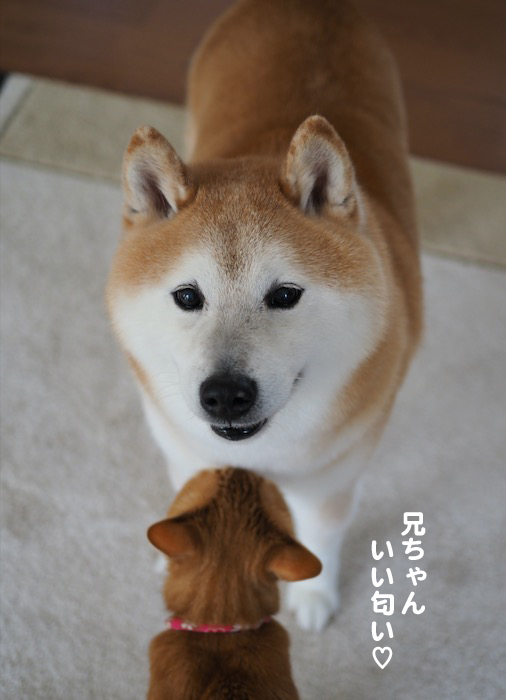 12日夕ブログ3