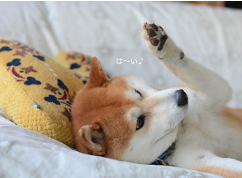 1日ブログ5.jpg