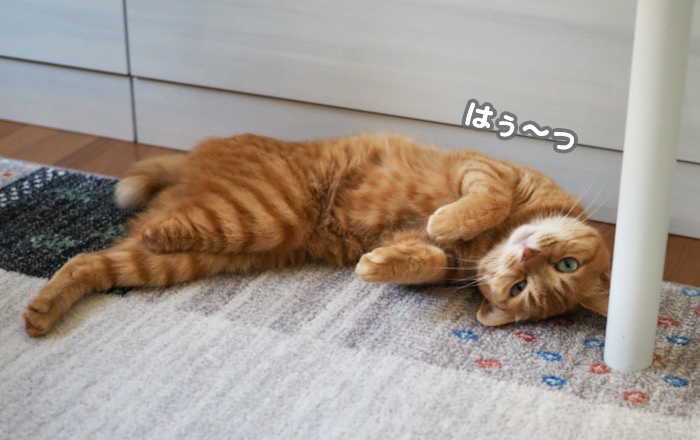 3日ブログ２