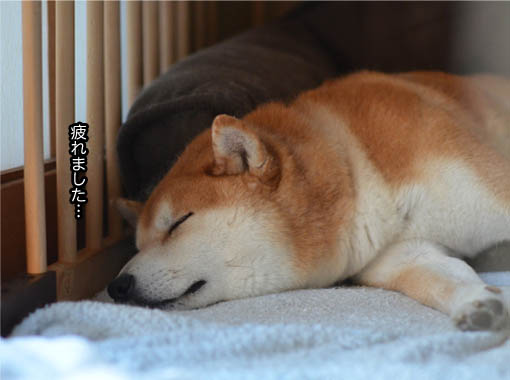 6日ブログ４.jpg
