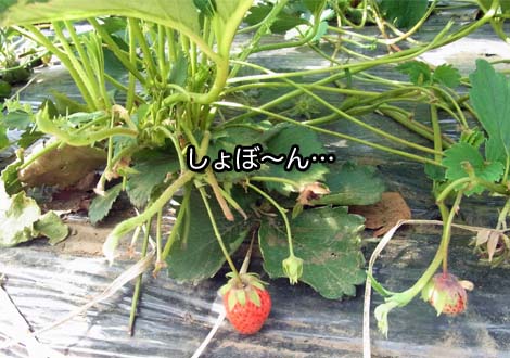 27日ブログ3.jpg