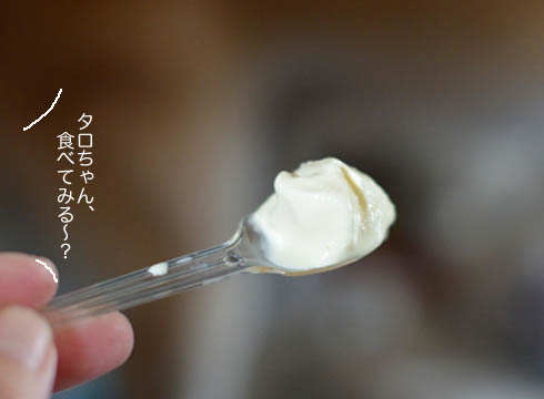 28日ブログ6.jpg