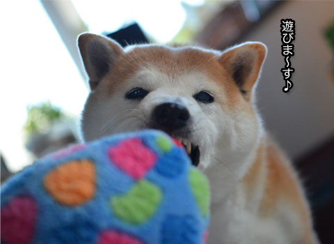 30日ブログ10.jpg