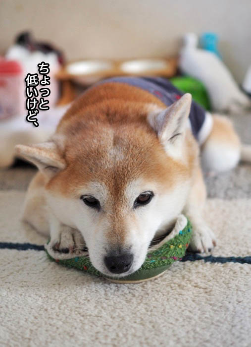 10日ブログ１