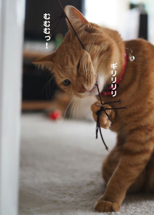 10日夕ブログ８
