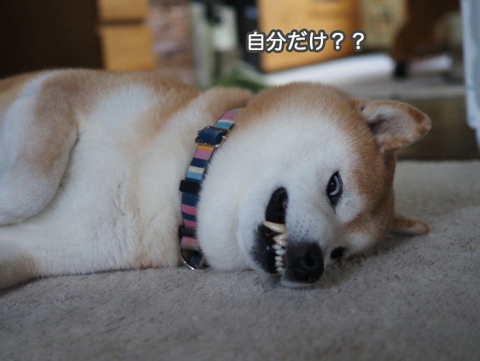 15日ブログ２
