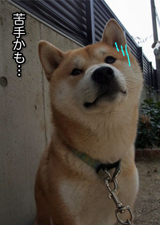 16日ブログ12.jpg