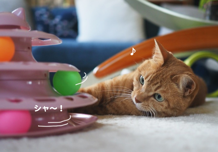 15日夕ブログ８
