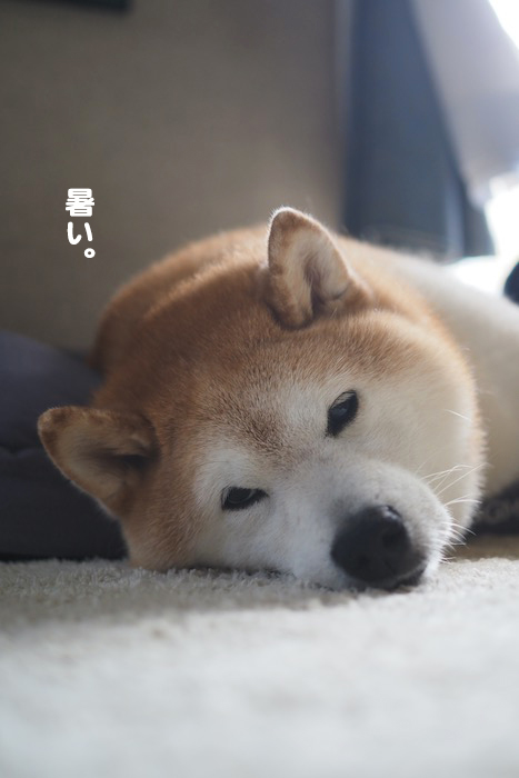 27日ブログ４