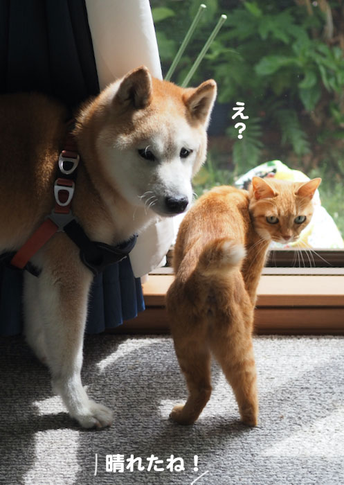 8日夕ブログ２