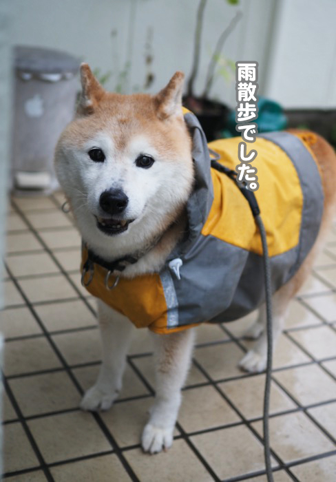 10日夕ブログ４