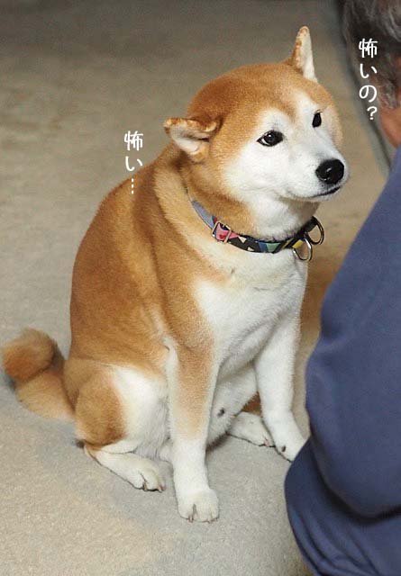 16日ブログ4