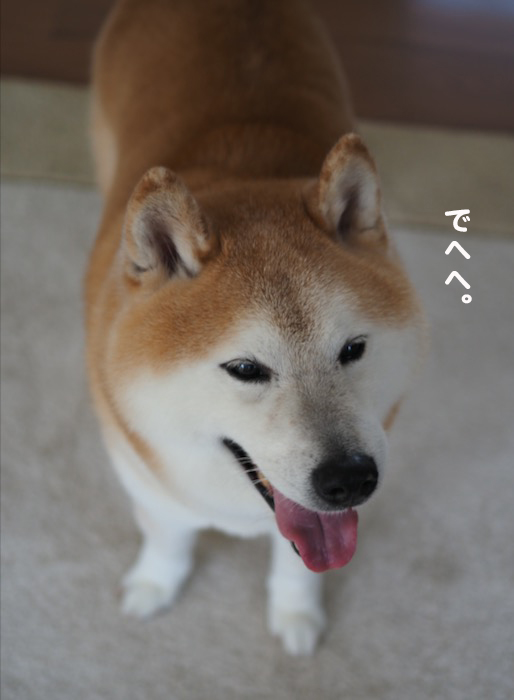30日ブログ６
