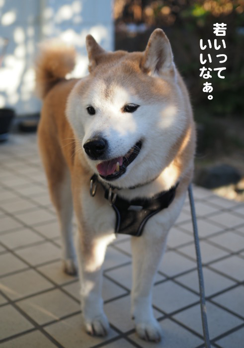 23日夕ブログ９