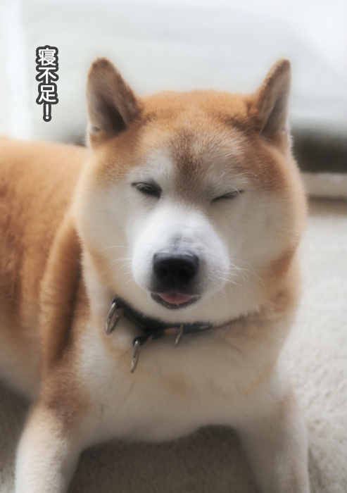 17日ブログ５