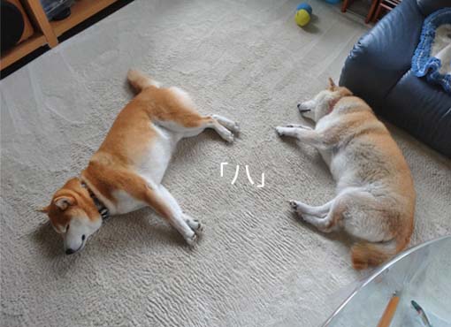 3日ブログ5.jpg
